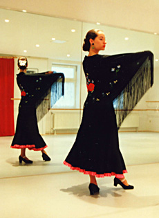Sarah Flamenco